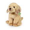 Rappa Plyšový labrador sediaci 27 cm ECO-FRIENDLY