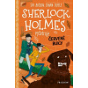 Sherlock Holmes vyšetruje: Červené buky - Arthur Conan Doyle, Stephanie Baudet