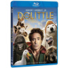 Dolittle BD
