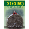 Co se dnes hraje? - Danka Šárková