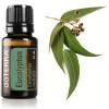 Esenciálny olej Eucalyptus 15 ml doTERRA