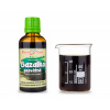 BAZALKA posvátná TULSI - bylinné kapky - tinktura 50 ml BYLINNÉ KAPKY