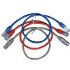 GEMBIRD Eth Patch kabel cat5e UTP 2m - zelený PP12-2M/G