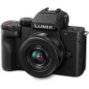 Panasonic LUMIX G100DK (G100D + FS12032)