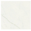 ANTIQUE MARBLE of CERIM Pure Marble_02 80x80cm Lucido Rett.