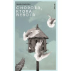 Choroba, ktorá nebola - Caminito Giulia