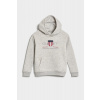 MIKINA GANT ARCHIVE SHIELD RAGLAN HOODIE LIGHT GREY MELANGE