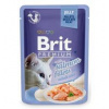 Brit Premium Cat D Fillets in Jelly with Salmon 85 g - 1 ks