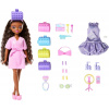 Mattel Mattel Barbie Dream Besties bábika s doplnkami Brooklyn 25JGG39