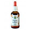 Salvia Paradise Penízovka sametonohá AF tinktura 50 ml