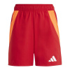 Adidas Tiro 24 Competition Jr shorts IQ4776 (199765) Sky Blue 164