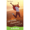 E-kniha Denník chaotickej matky - Dana Hlavatá