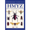 Hmyz - Príroda v kocke - George C. McGavin