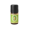 Primavera Éterický olej Grepfruit Bio 5 ml