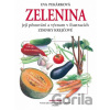 Zelenina - Eva Pekárková