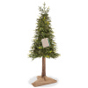 Springos CT0200 PRÍRODNÝ SMREK NA KMEŇOVI 220 CM
