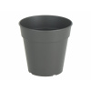 Artevasi Madagascar To Grow Pot, Antracit, 0,5 L, 110 mm, 105 mm, 12 kusov