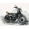 ZUTY Maľovanie podľa čísel - MOTORKA NA ŠEDOM POZADÍ Rámovanie: bez rámu a bez vypnutia plátna, Rozmer: 40x50 cm