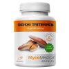 MycoMedica Reishi Triterpen 90 rastlinných kapsúl