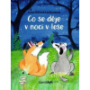 Co se děje v noci v lese - Irena Ričlová Lachoutová
