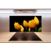 Panel do kuchyne Žlté tulipány 100x50 cm