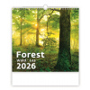 Nástenný kalendár 2026 Forest/Wald/Les