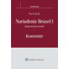 Nariadenie Brusel I Komentár - Pavel Lacko