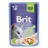 Brit Premium Cat D Fillets in Jelly with Trout 85 g - 1 ks