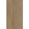 Naturel Vinylová podlaha Better Oak Desert 2,5 mm VBETTERG108