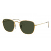 Ray-Ban RB 3857 919631 51/20/145