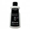 Goldwell Developer 7 Vol. 2% 1000 ml