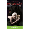 E-kniha Past na medvěda - Petra Neomillnerová