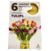 ADMIT Tulips vonne sviečky 6ks