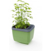 Gusta Garden Herbs Buddy samozavlažovací kvetináč, zelený GG-122F10