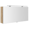 Sapho CLOE galérka s LED osvetlením 100x50x18cm, dub Alabama SPH CE100-0022