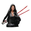 Star Wars - Dark Rey 