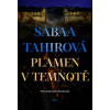 Plamen v temnotě
