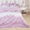 Darymex RENFORCÉ OBLIEČKY COTTONLOVE EXCLUSIVE LAURA PUDRA 200X220 CM, 2KS 70X80 CM VZOROVANÉ