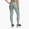Under Armour UA HG Legging 1383559-348