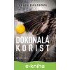 E-kniha Dokonalá kořist - Helen Fields