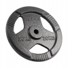 Liatinové závažie 20 kg, otvor 31 mm, tanier s držadlami REBEL ACTIVE