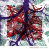 Silversun Pickups - Widow's Weeds / Vinyl / 2LP [2 LP]