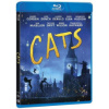 Cats BD
