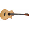 TANGLEWOOD TWR2 SFCE