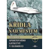 Křídla nad městem - Historie sportovního - Hanák Ivo