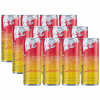 24x 250ml RED BULL Winter Edition energetický nápoj jablko zázvor BALENIE