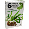 Parafínová sviečka Eucalyptus Admit 6 ks