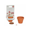 Little Dutch Kvetináč jahody Forest Friends, 3+