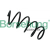 BORSEHUNG Pružina podvozku B12620