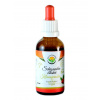 Salvia Paradise Schizandra čínska - klanopraška AF tinktúra 50 ml